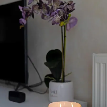 Portofino, With Free Private Garage נובי סאד